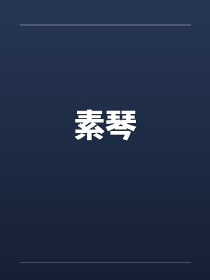素琴封面